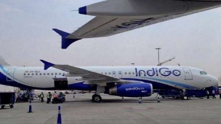 Former Aviation Joint Secretary appointed as Principal Advisor to IndiGo’s MD